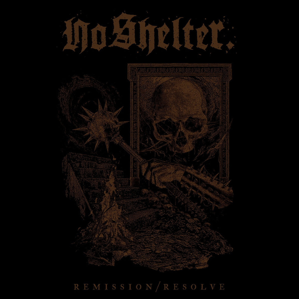 No Shelter - Remission/Resolve Product Image