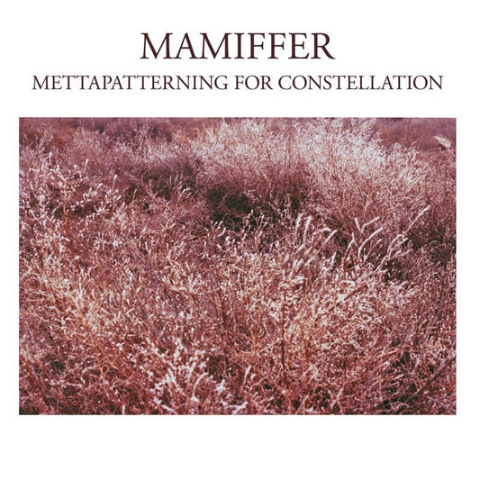 Mettapatterning For Constellation