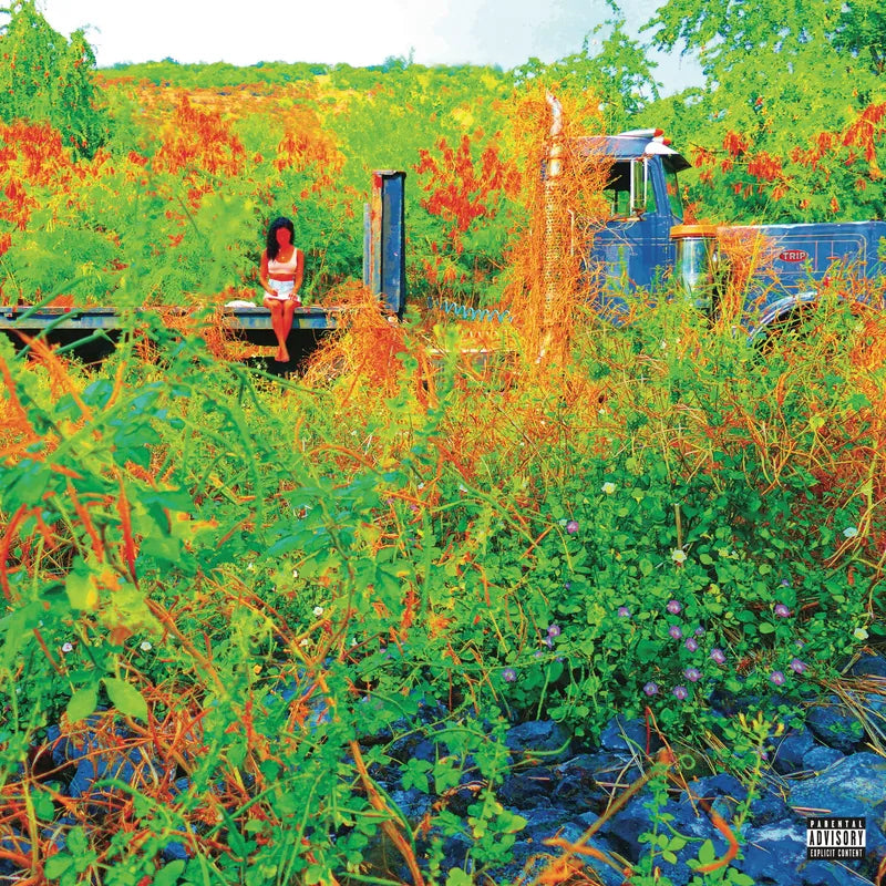 Jhene Aiko - Trip - RSD 2026 Product Image