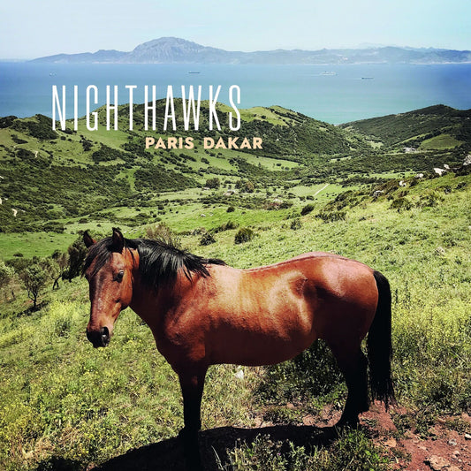 Nighthawks - Paris Dakar Product Image