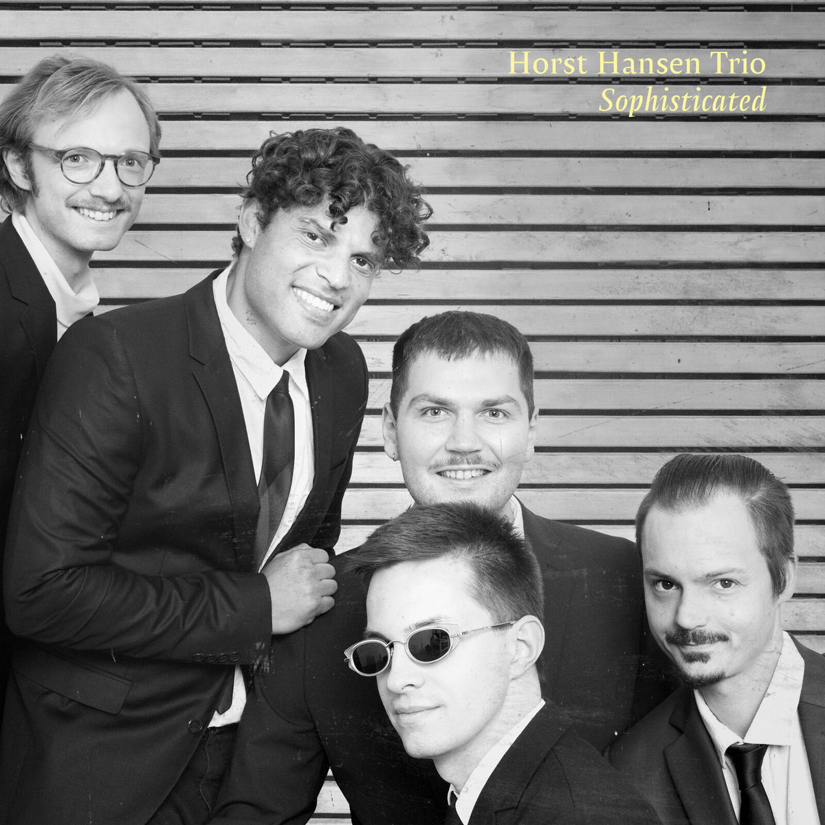 Horst Hansen Trio - Sophisticated Product Image