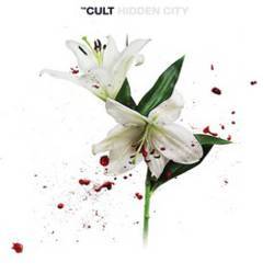 Hidden City