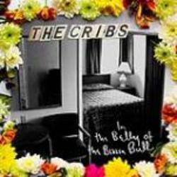 In The Belly Of The Brazen Bull