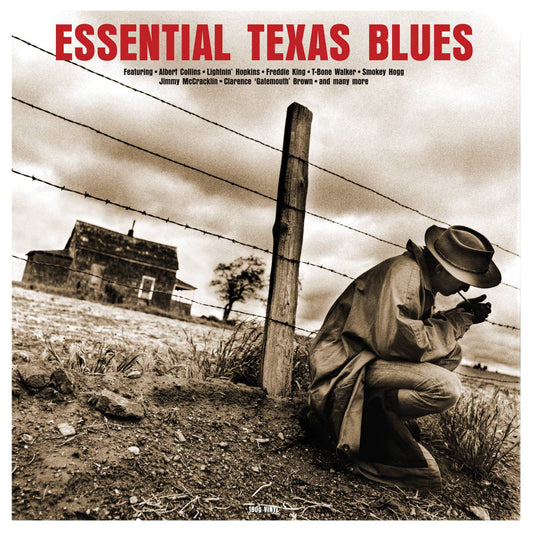 Essential Texas Blues
