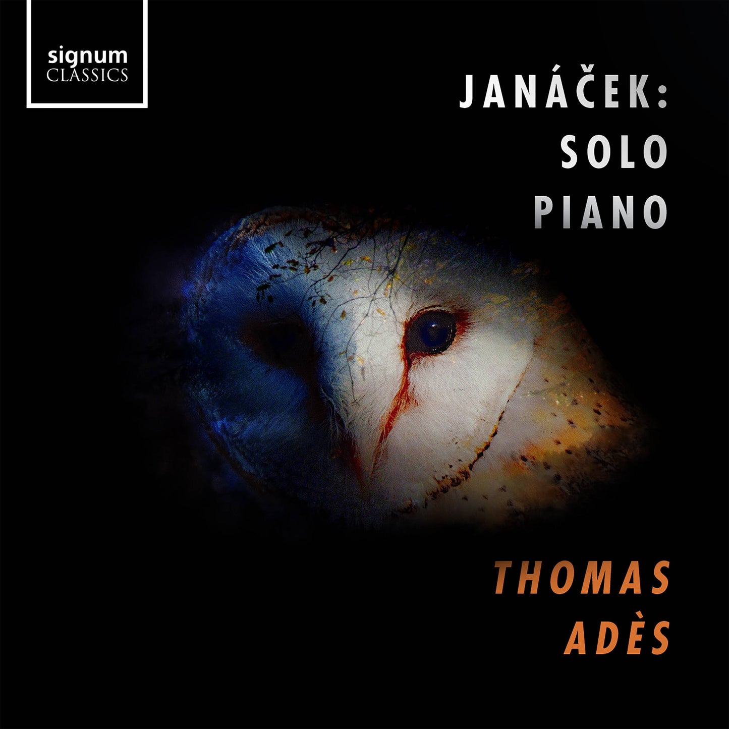 Janek: Solo Piano