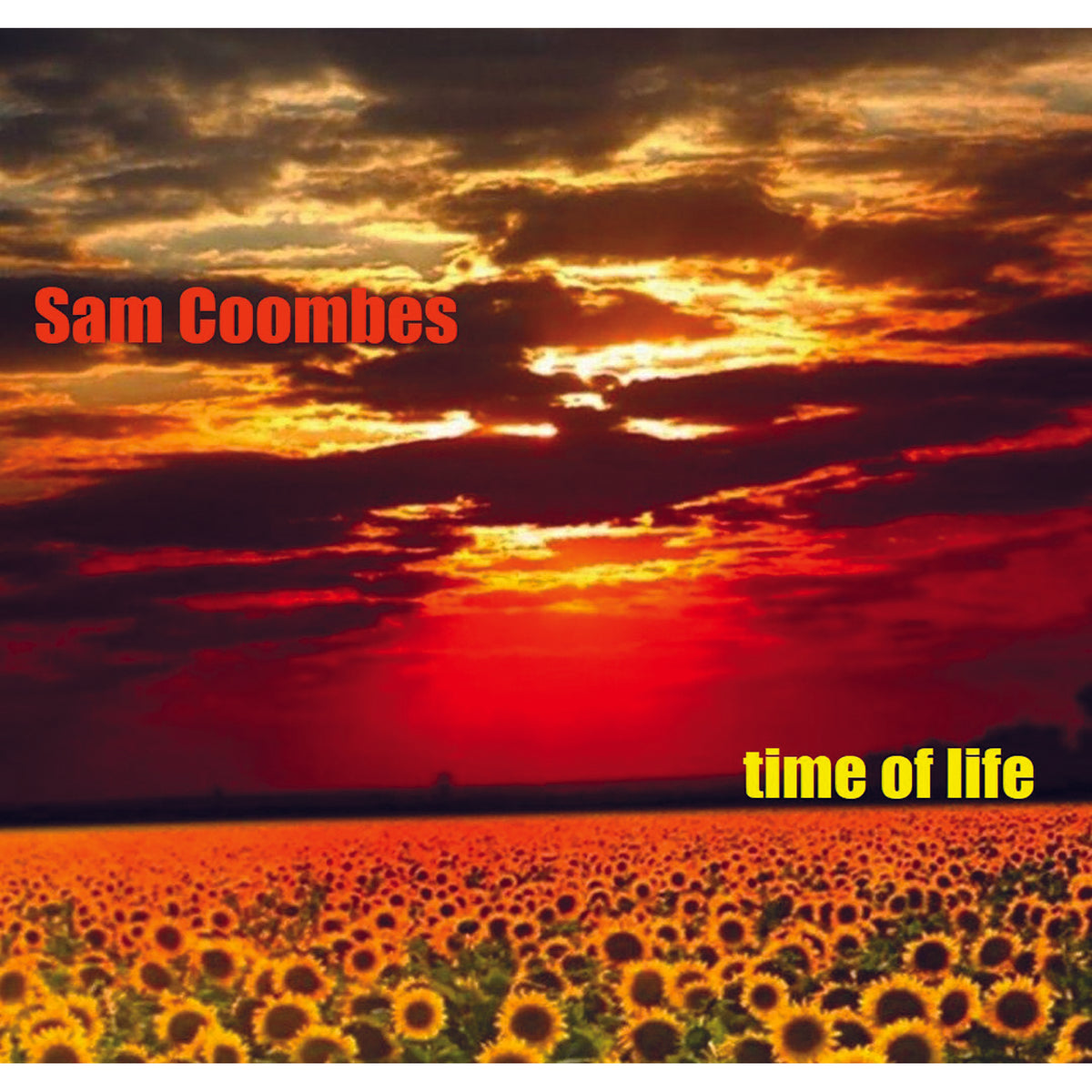 Sam Coombes - Time of Life Product Image