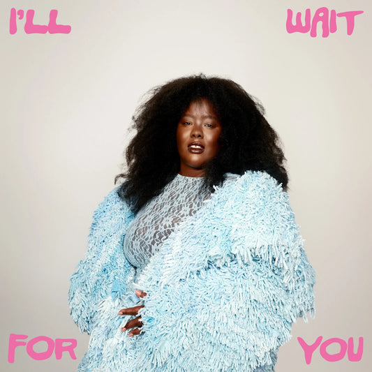 I'll Wait For You