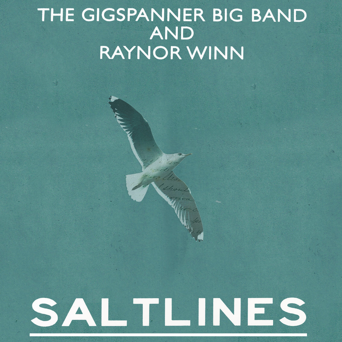 Gigspanner Big Band and Raynor Winn - Saltlines Product Image