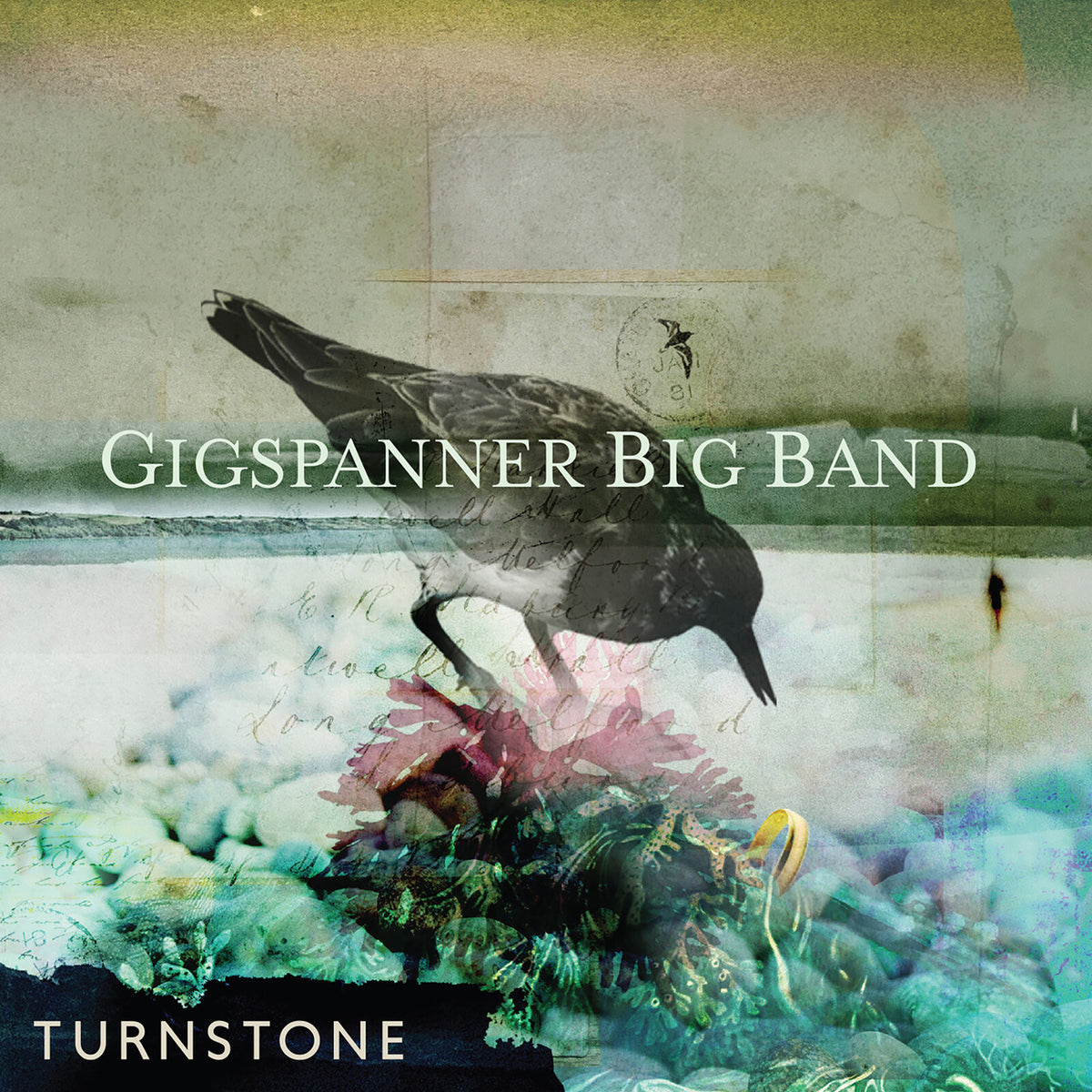 Gigspanner Big Band - Turnstone Product Image