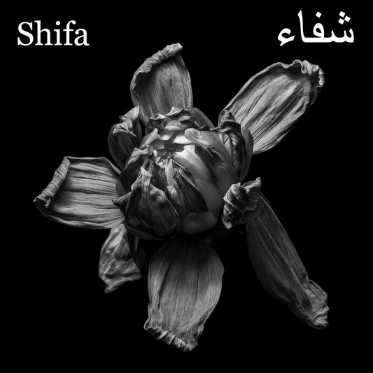 Shifa - Ecliptic Product Image