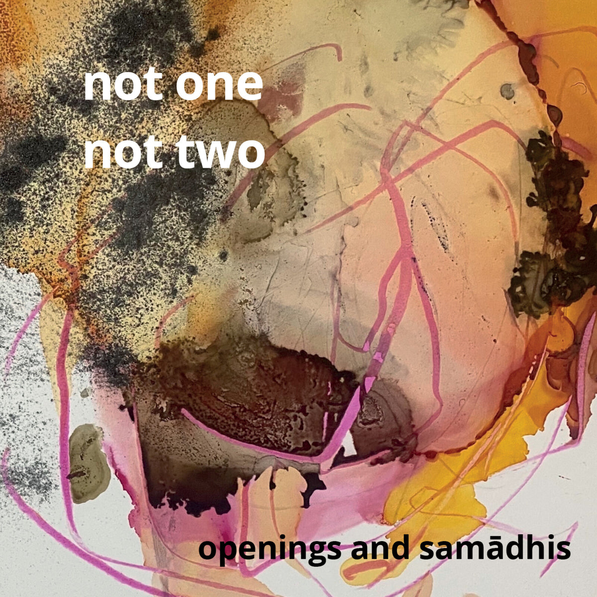 Not One Not Two - Openings and Samadhis Product Image