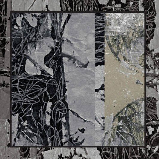 Diego Caicedo - Eidos Daemonium Product Image