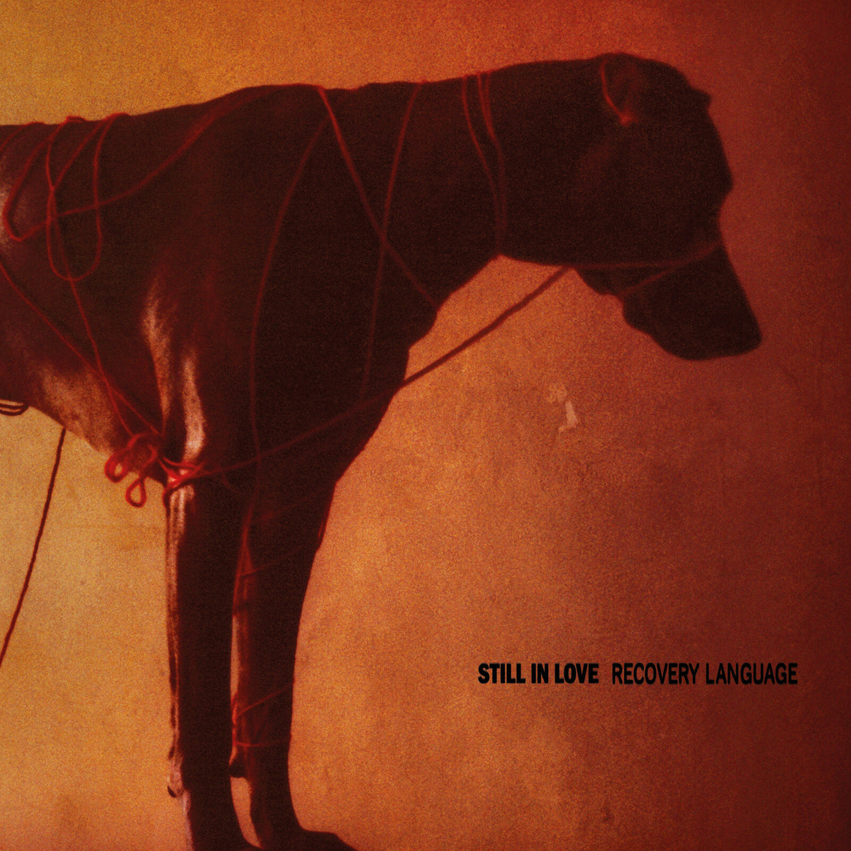 Still In Love - Recovery Language Product Image