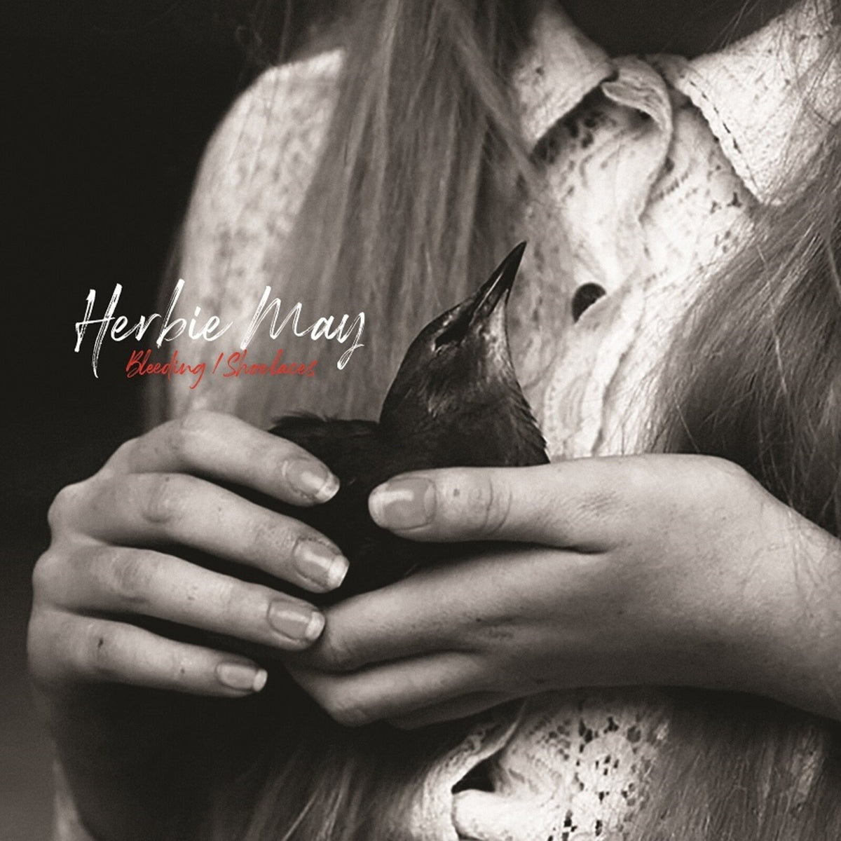 Herbie May - Bleeding / Shoelaces Product Image