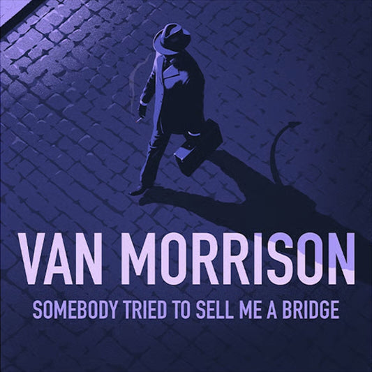 Somebody Tried To Sell Me A Bridge
