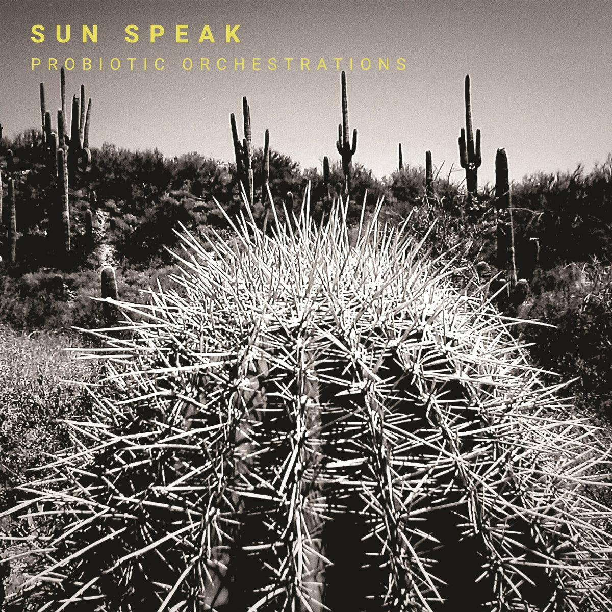 Sun Speak - Probiotic Orchestrations Product Image