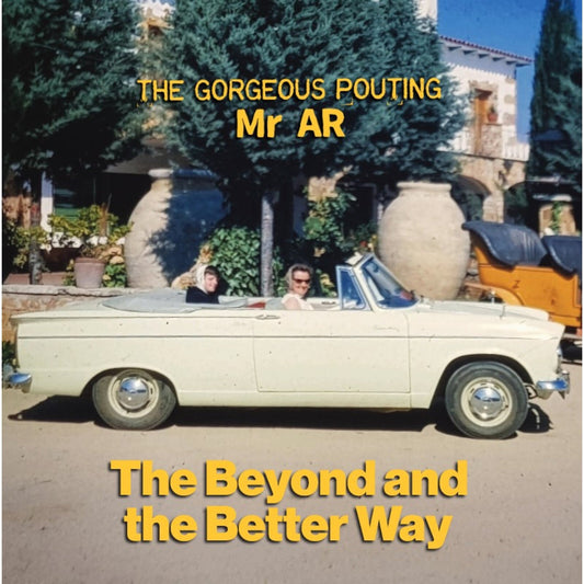 The Gorgeous Pouting Mr AR - The Beyond and the Better Way Product Image