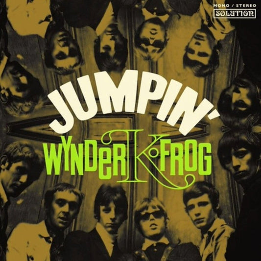 Wynder K Frog - Jumpin' Product Image