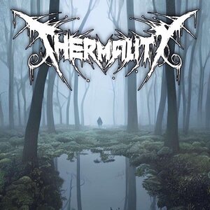 Thermality - Before I Get To Rest Product Image