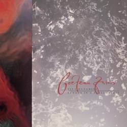Tiny Dynamine / Echoes in a Shallow Bay