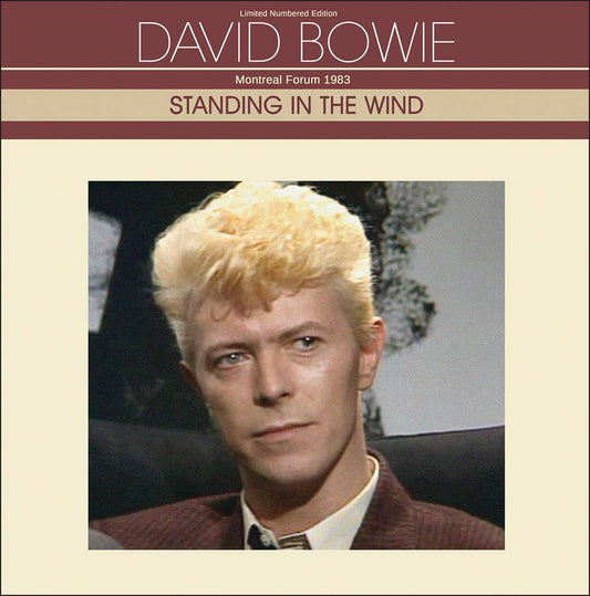 Standing in the Wind