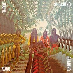 Those Shocking Shaking Days - Indonesian Hard, Psychedelic, Progressive Rock and Funk - 1970 -1978