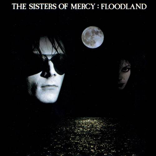 Floodland