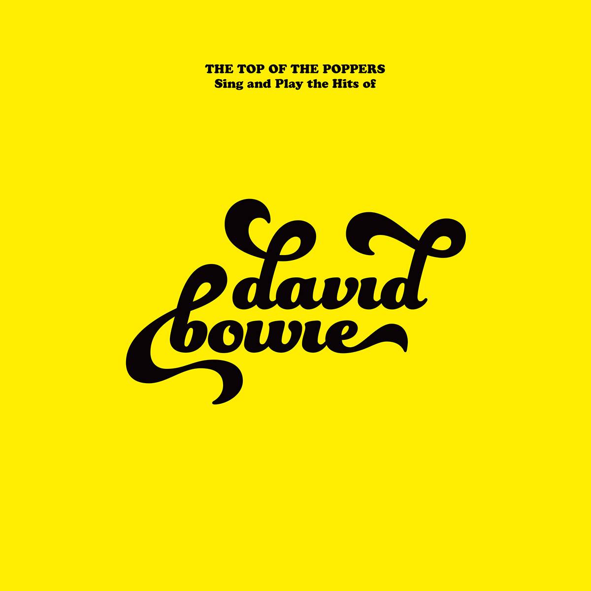 The Top of the Poppers - Sing and Play the Hits of David Bowie