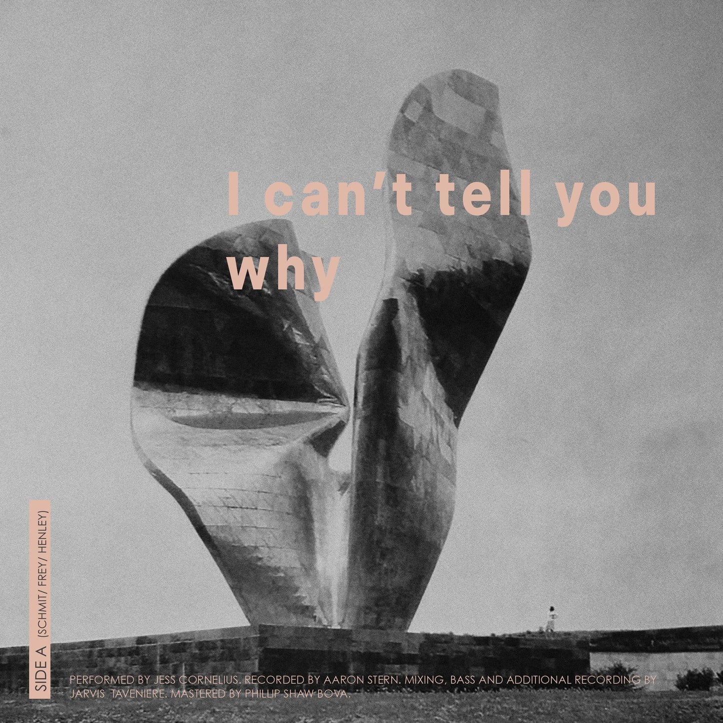 I Can't Tell you Why