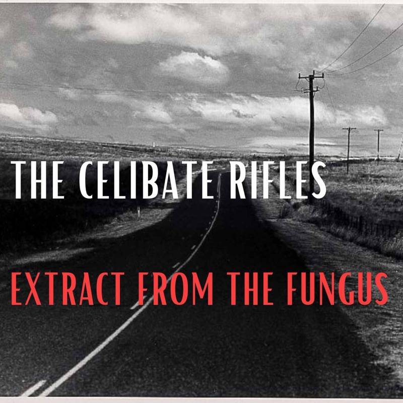 Extract from The Fungus