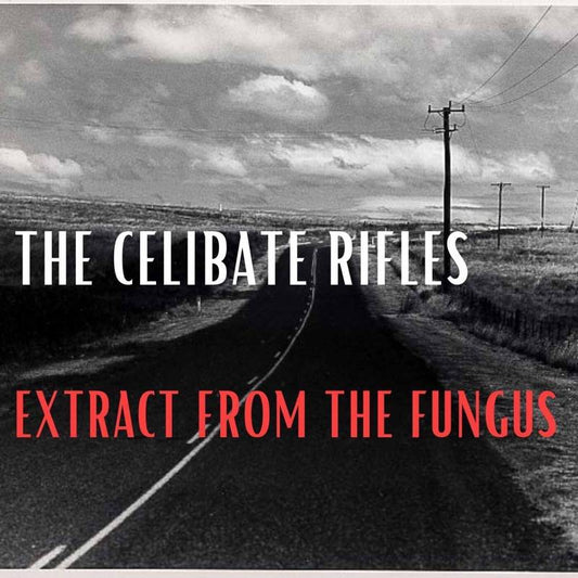Extract from The Fungus