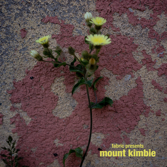 fabric presents Mount Kimbie