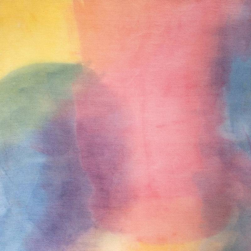 The Weight of The Sun (Love Record Stores Variant)