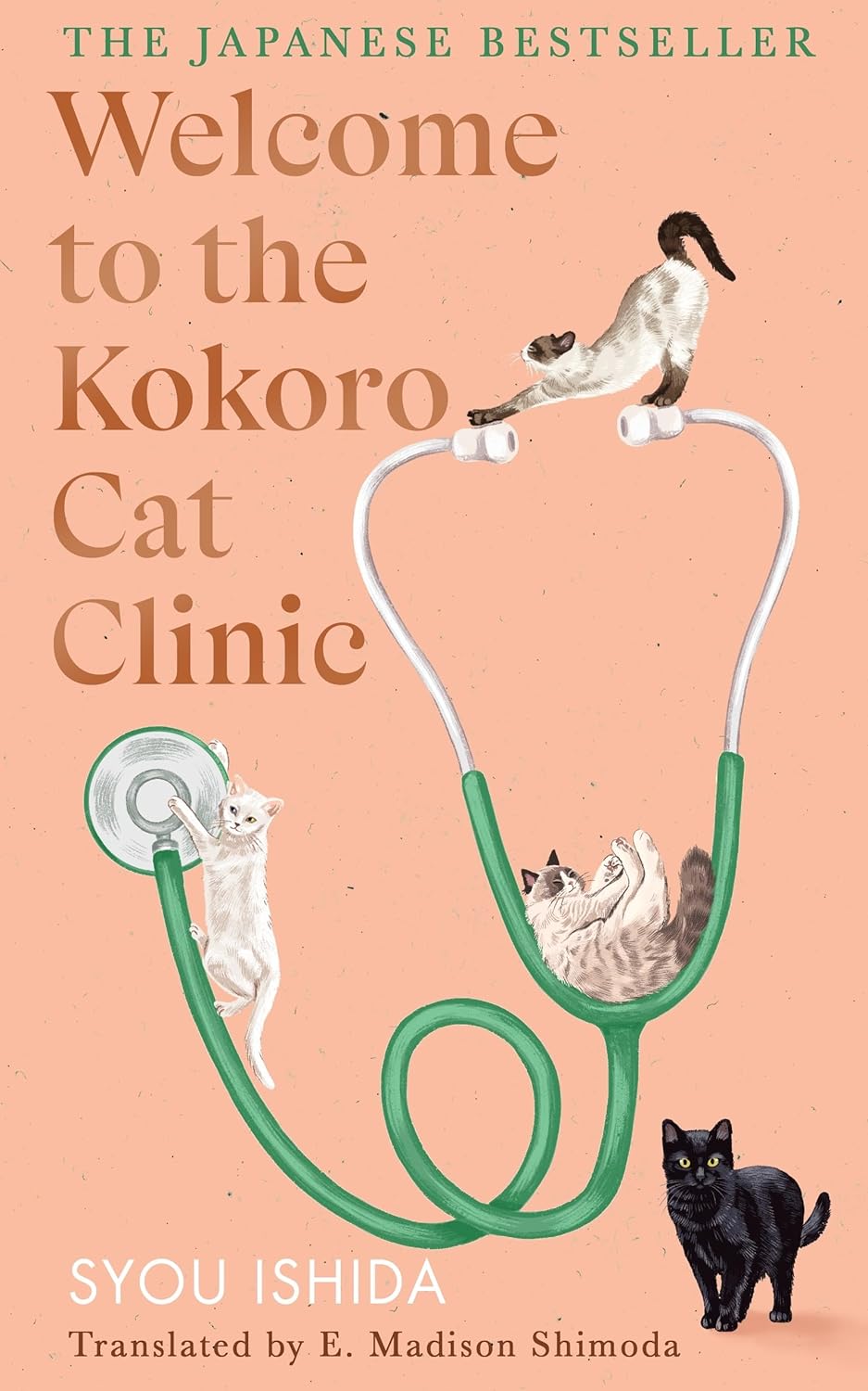 Welcome to the Kokoro Cat Clinic