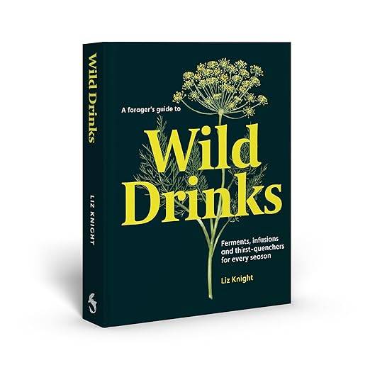 A Forager's Guide to Wild Drinks: Ferments, infusions and thirst-quenchers for every season