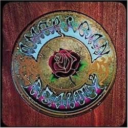 American Beauty