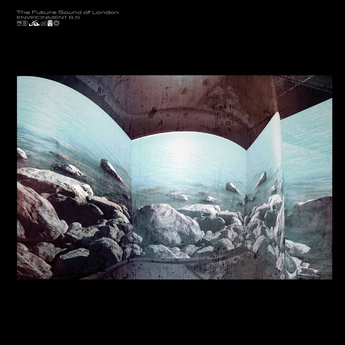 Environment Volume 6.5