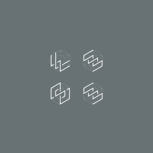 The Awakening (James Holden Remix)
