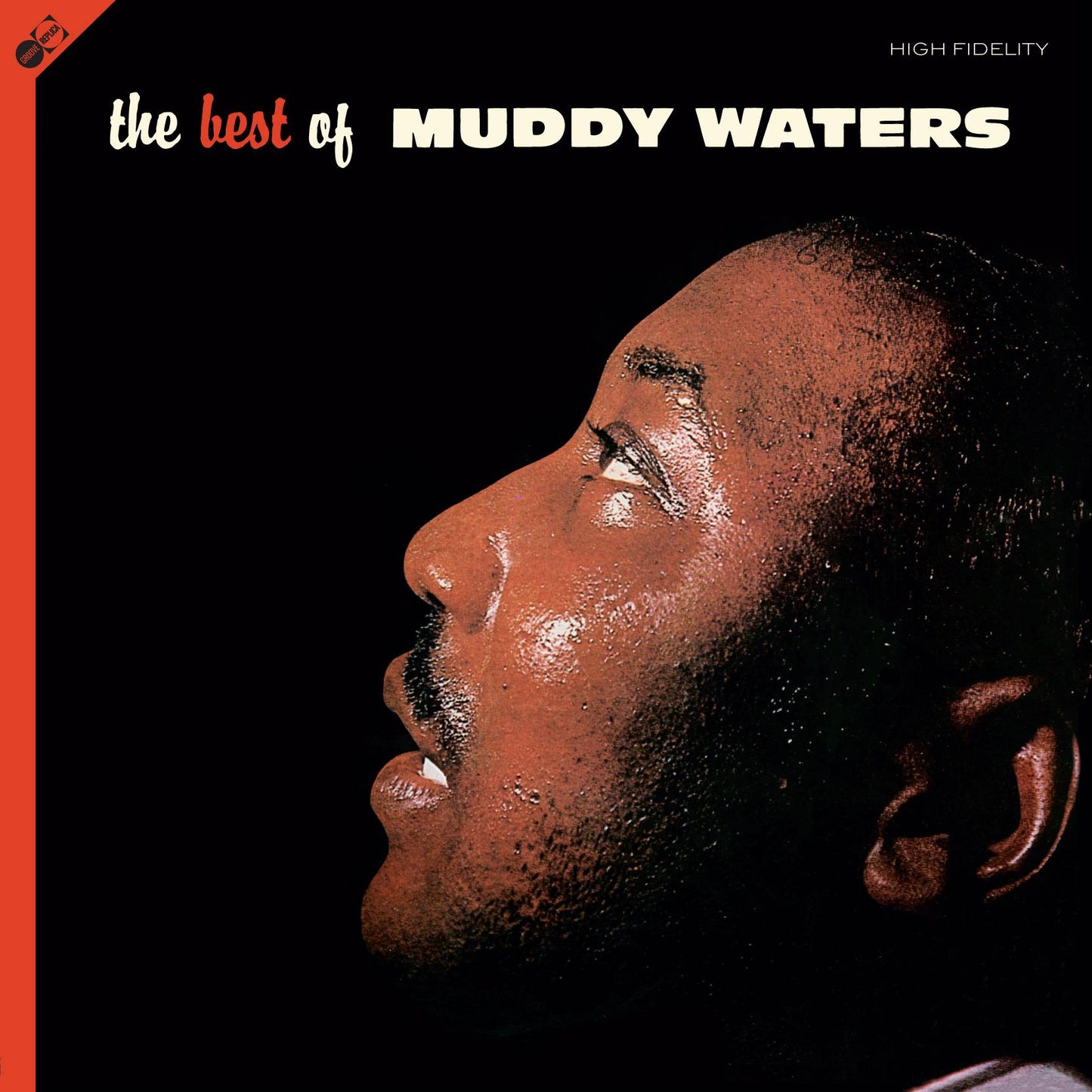 The Best Of Muddy Waters
