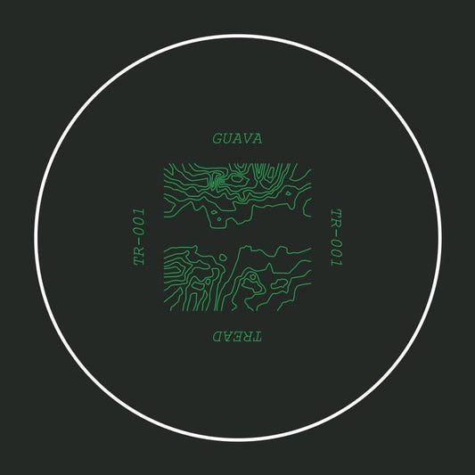 Guitarist EP