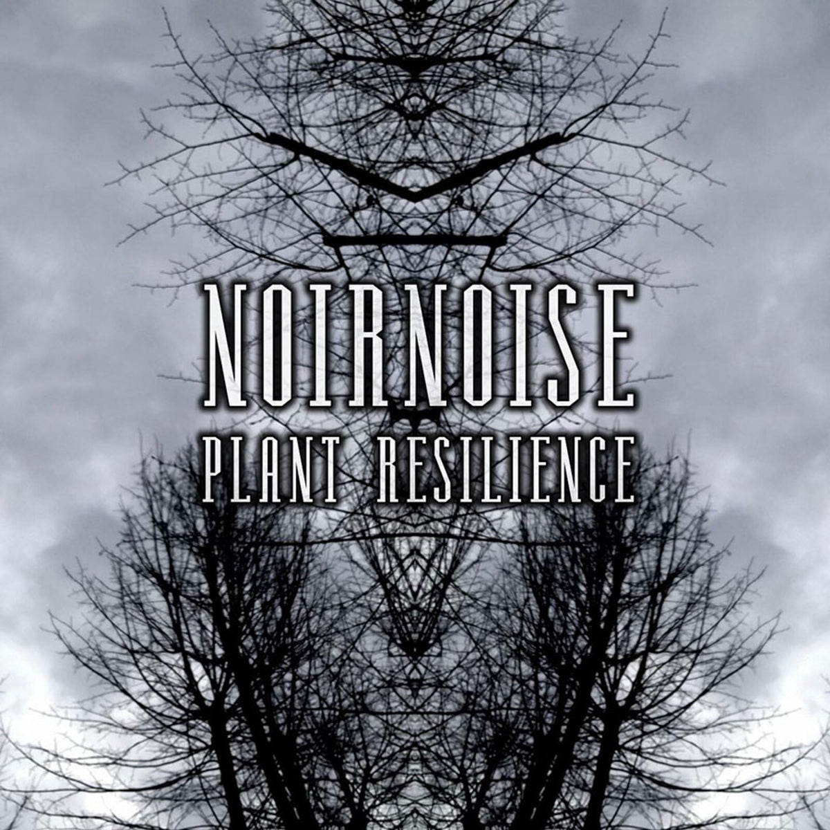 Noirnoise - Plant Resilience Product Image