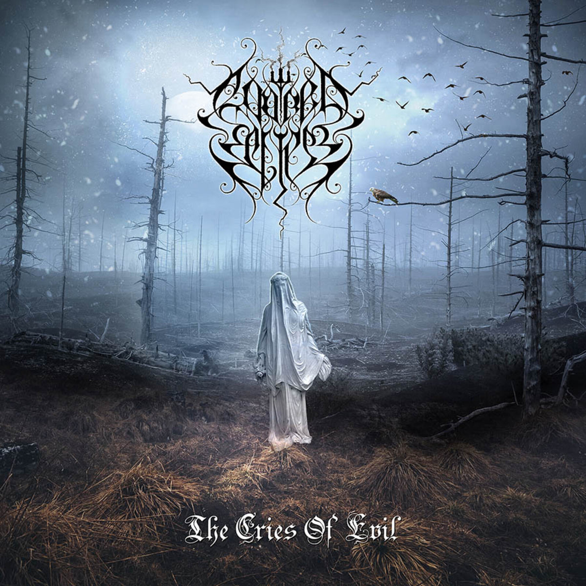 Evoked Eclipse - The Cries Of Evil Product Image