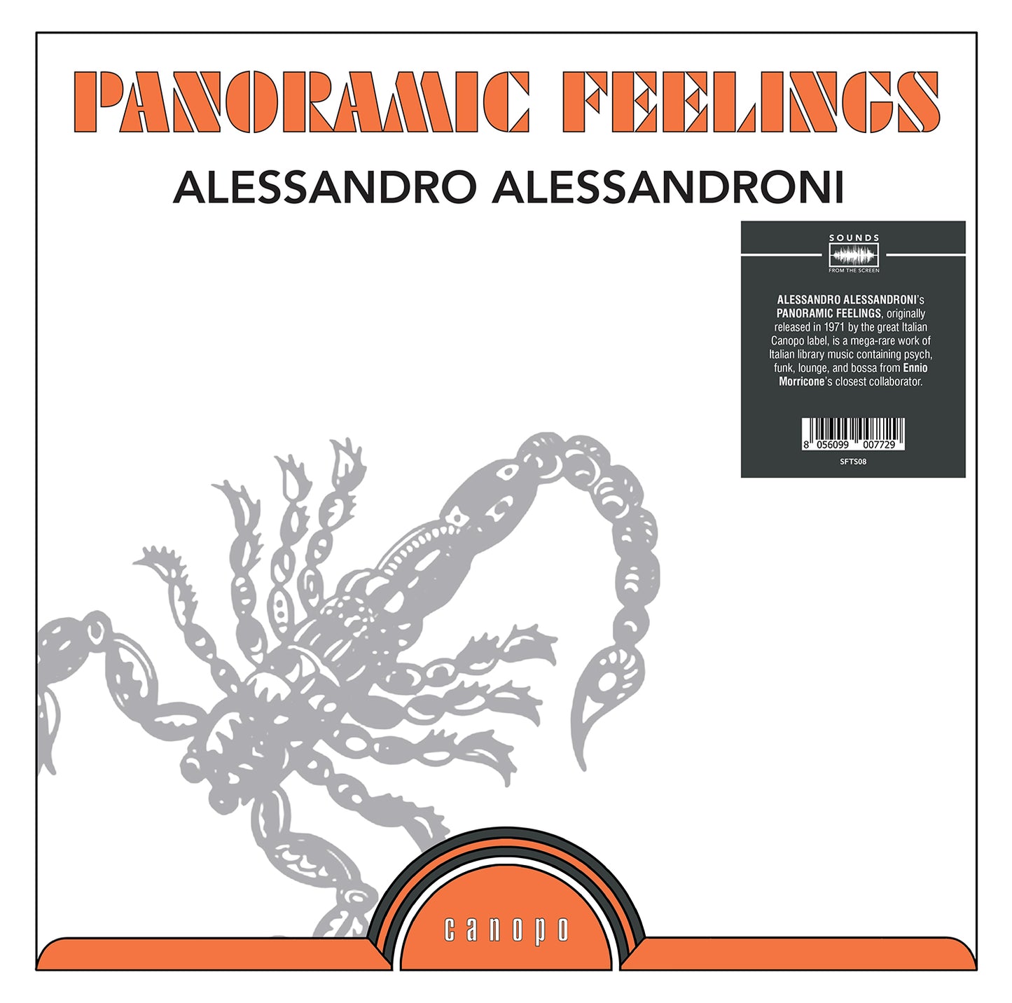 Panoramic Feelings