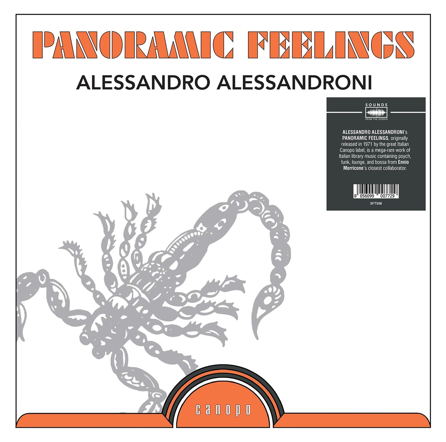 Panoramic Feelings