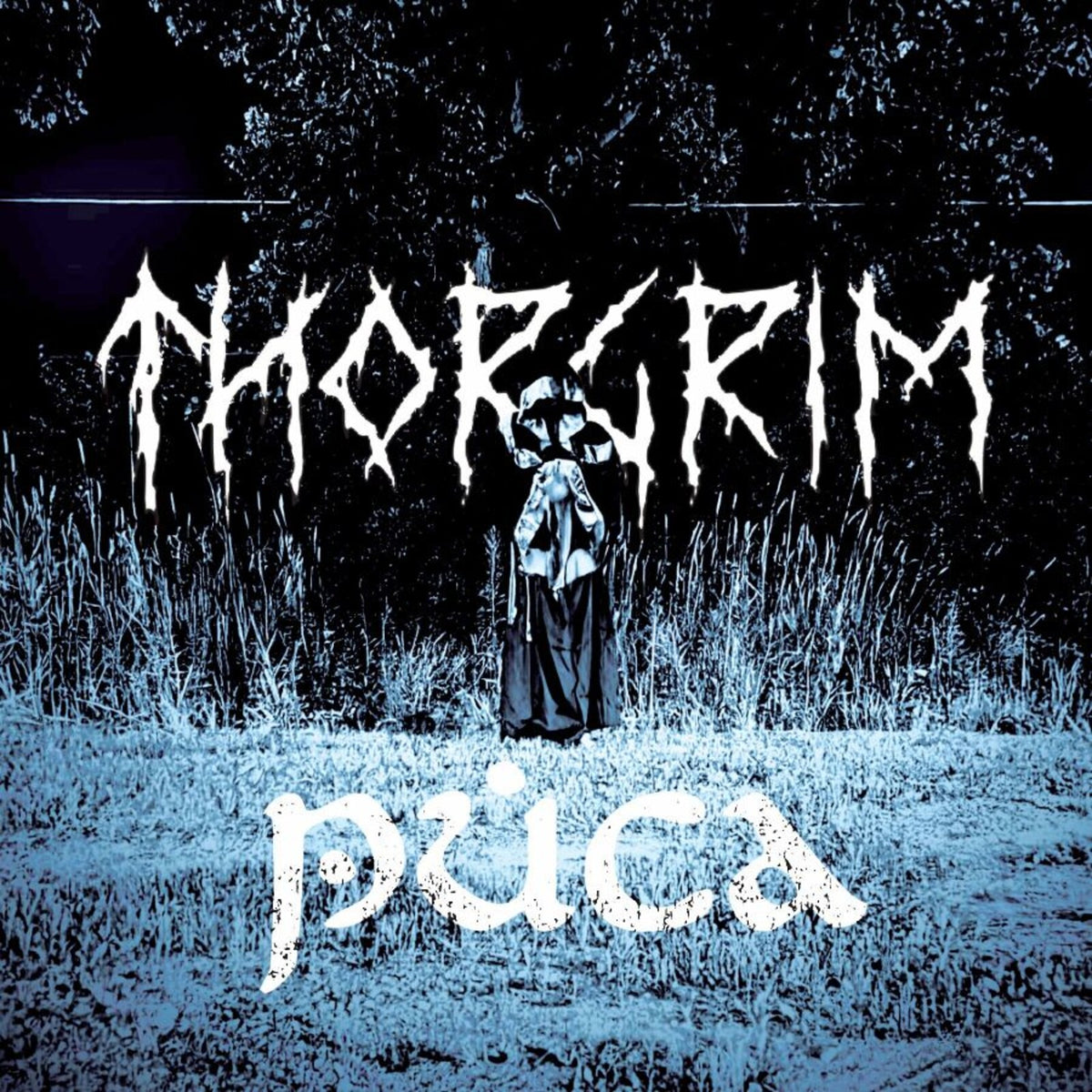 Thorgrim - Puca Product Image