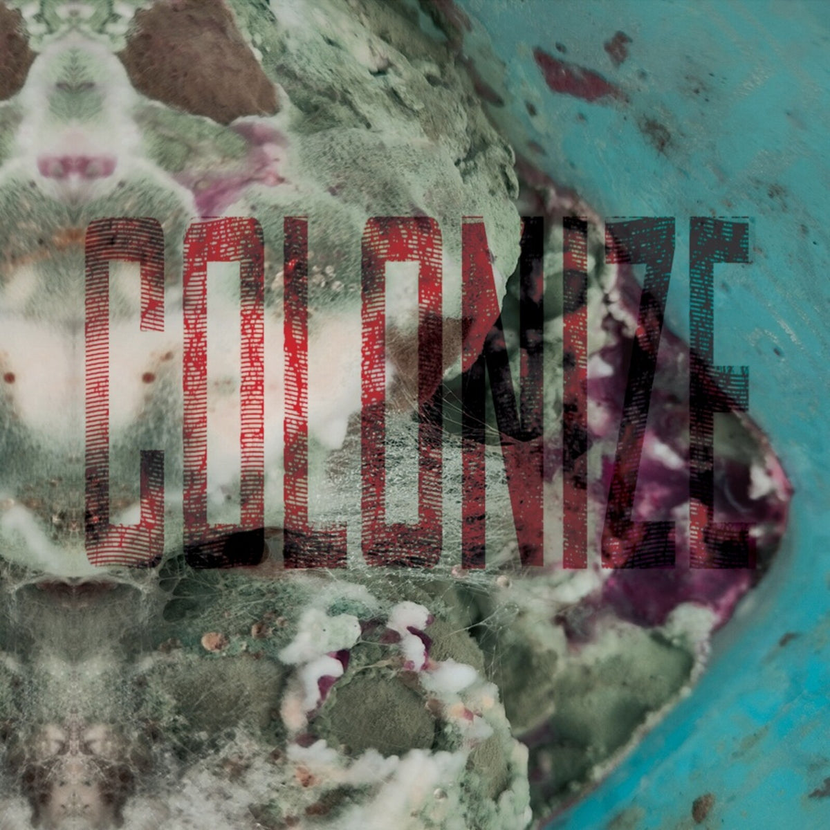 MoldEra - Colonize Product Image