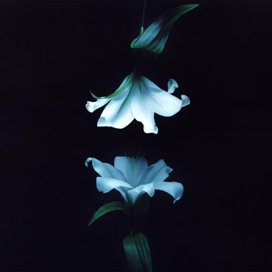 Nocturne