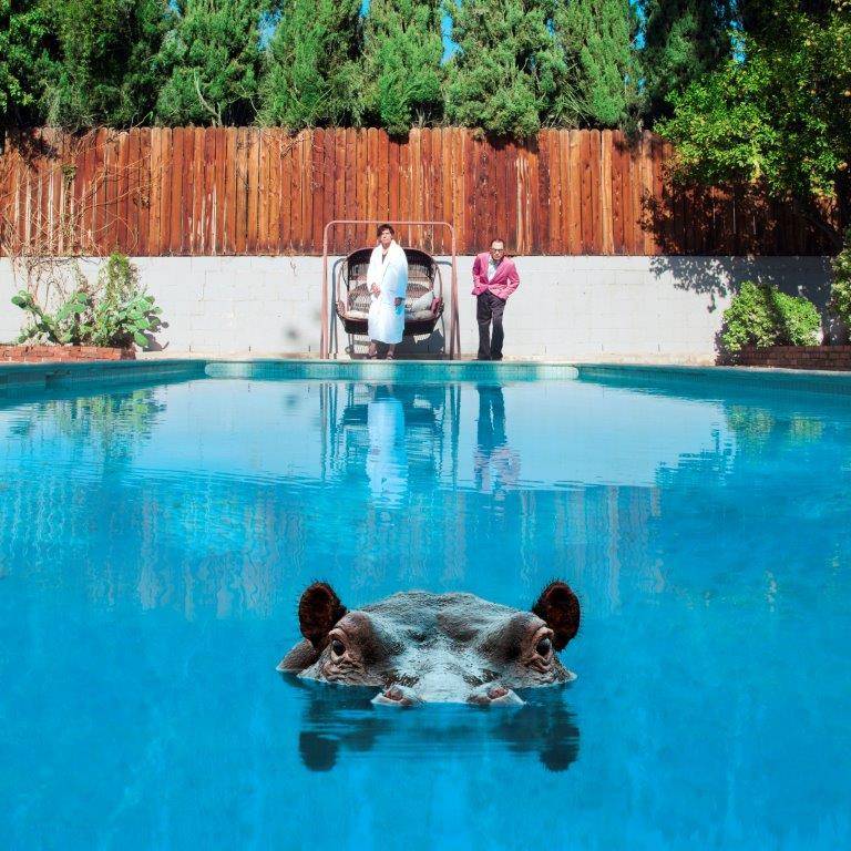 Hippopotamus