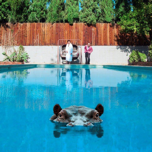 Hippopotamus