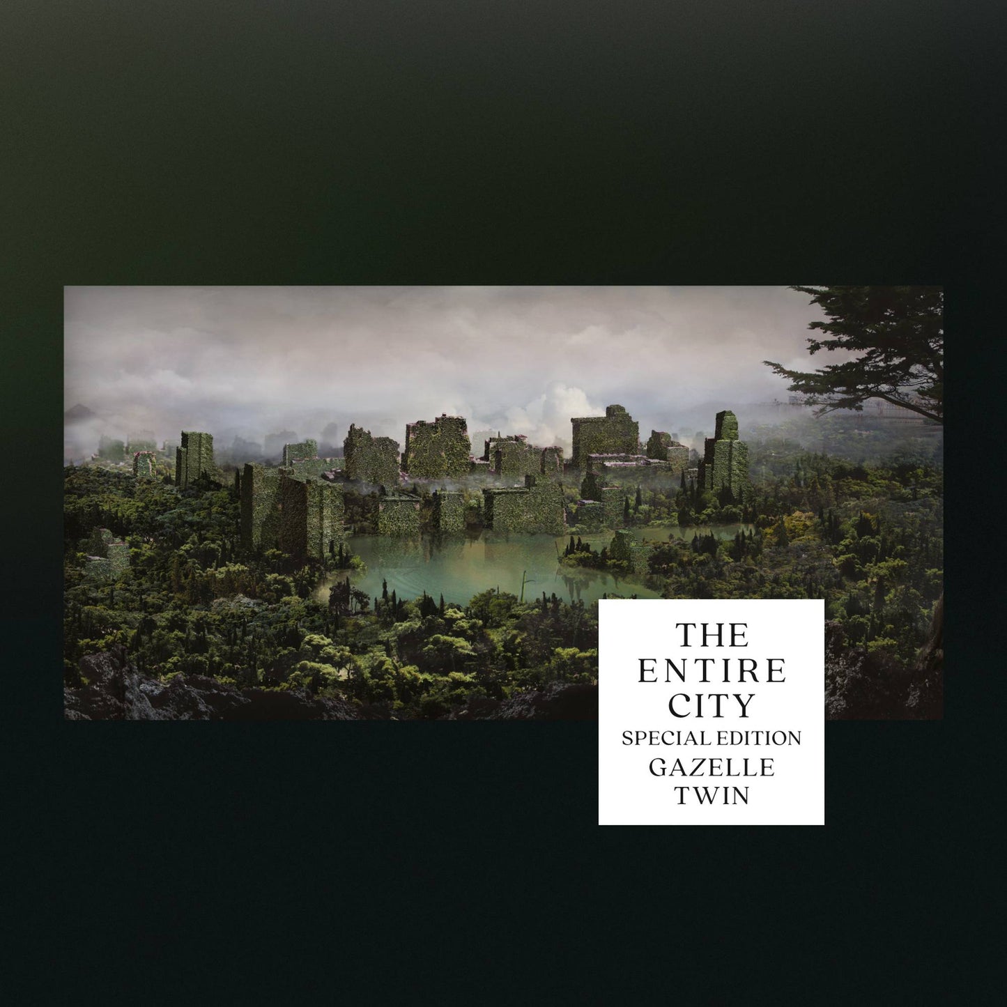 The Entire City (Special Edition)